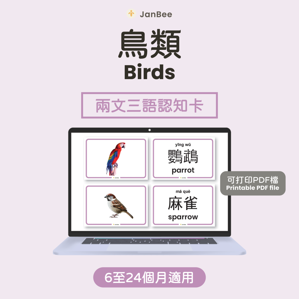 鳥類認知卡（PDF）