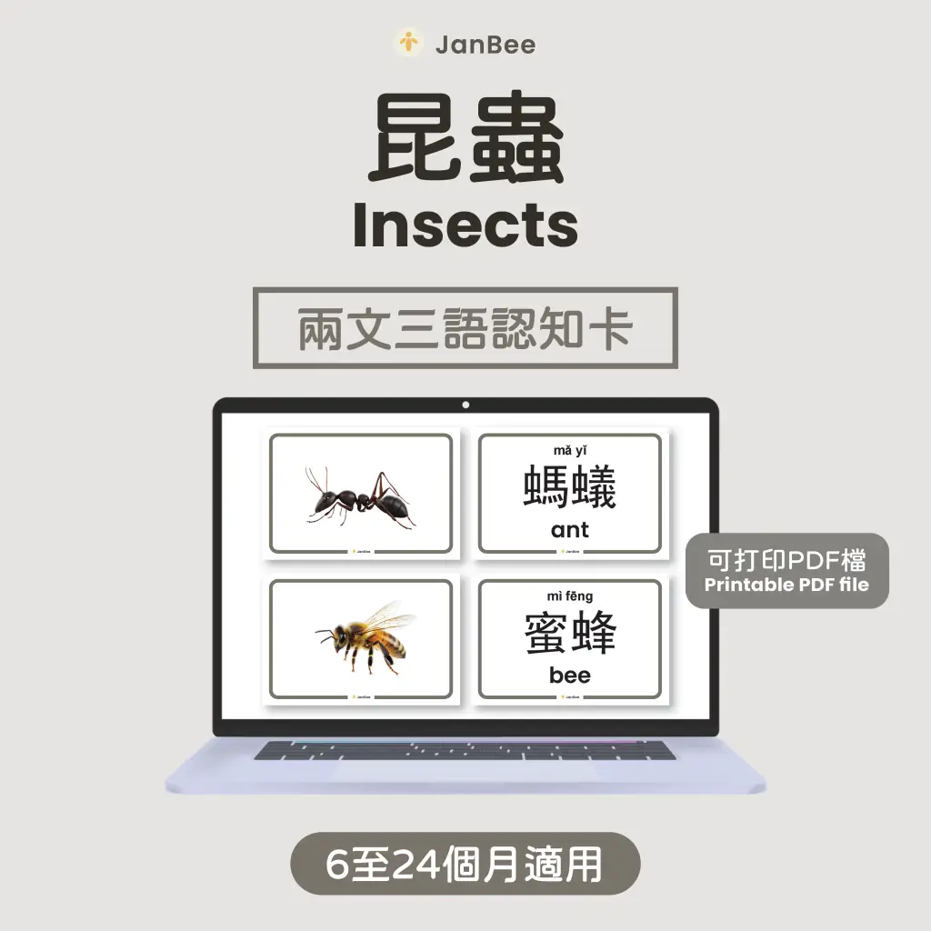 昆蟲認知卡（PDF）