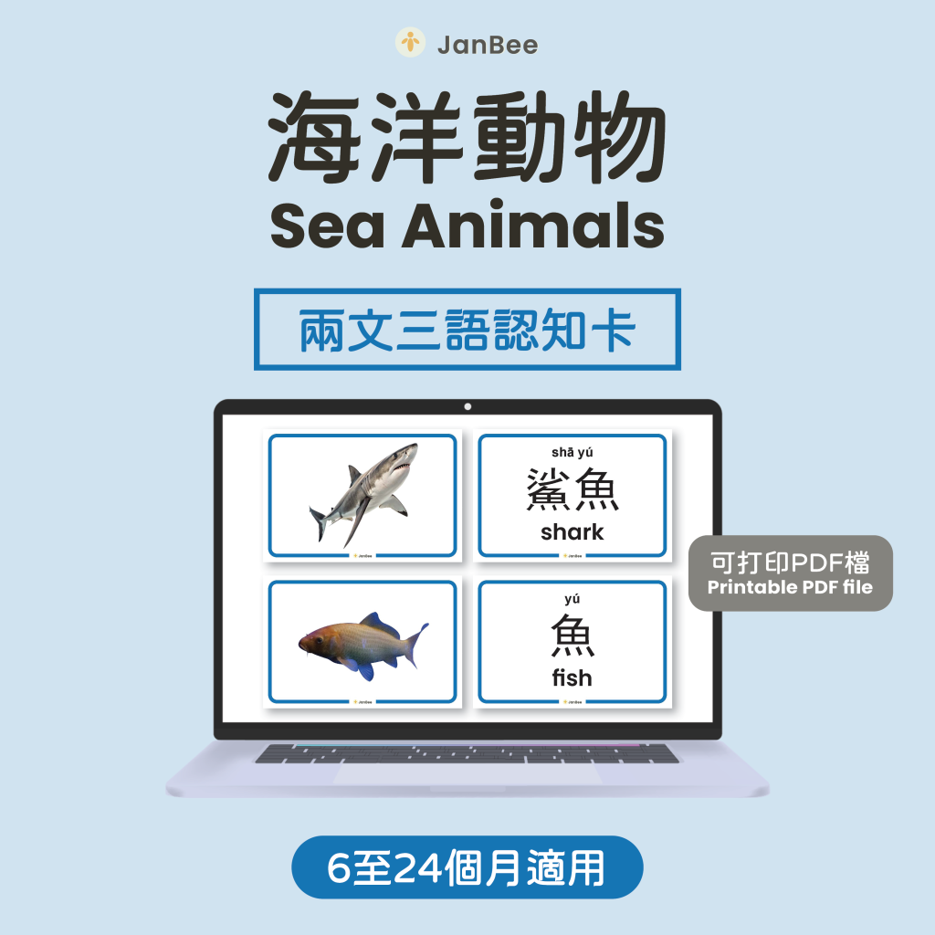 海洋動物認知卡（PDF）
